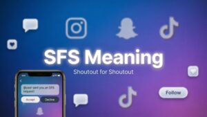 SFS Meaning