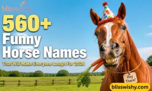 560+ funny horse names