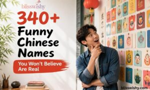 340+ Funny Chinese Names
