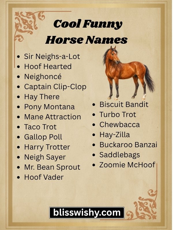 Cool funny horse names