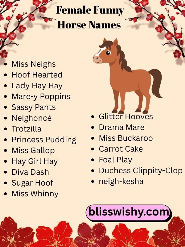 Female funny horse names
