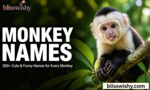 Funny Monkey Names