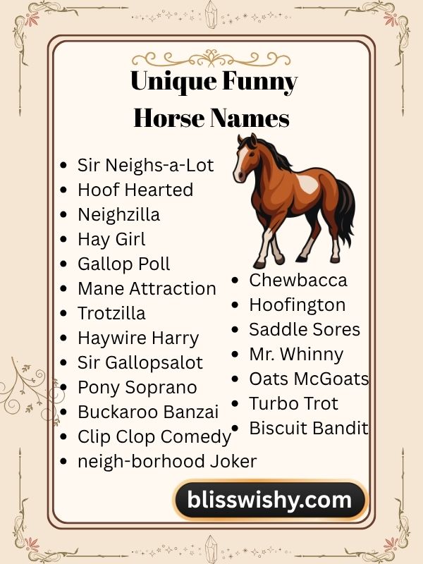 Unique funny horse names