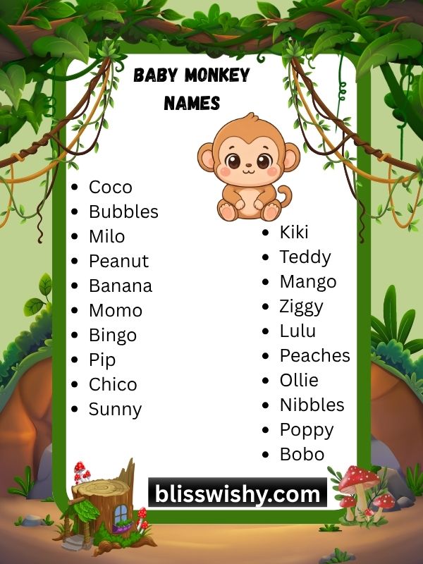 baby monkey names