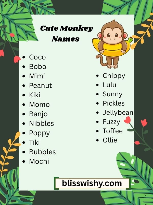 cute monkey names